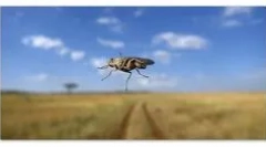 Afrykańska śpiąca choroba